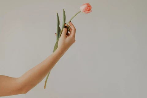 Brak słów by swą wdzięczność wyrazić...